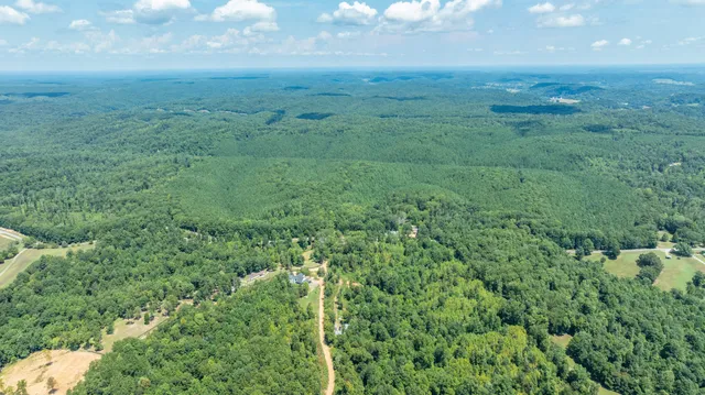 a view of a lush green forest with lots of trees
