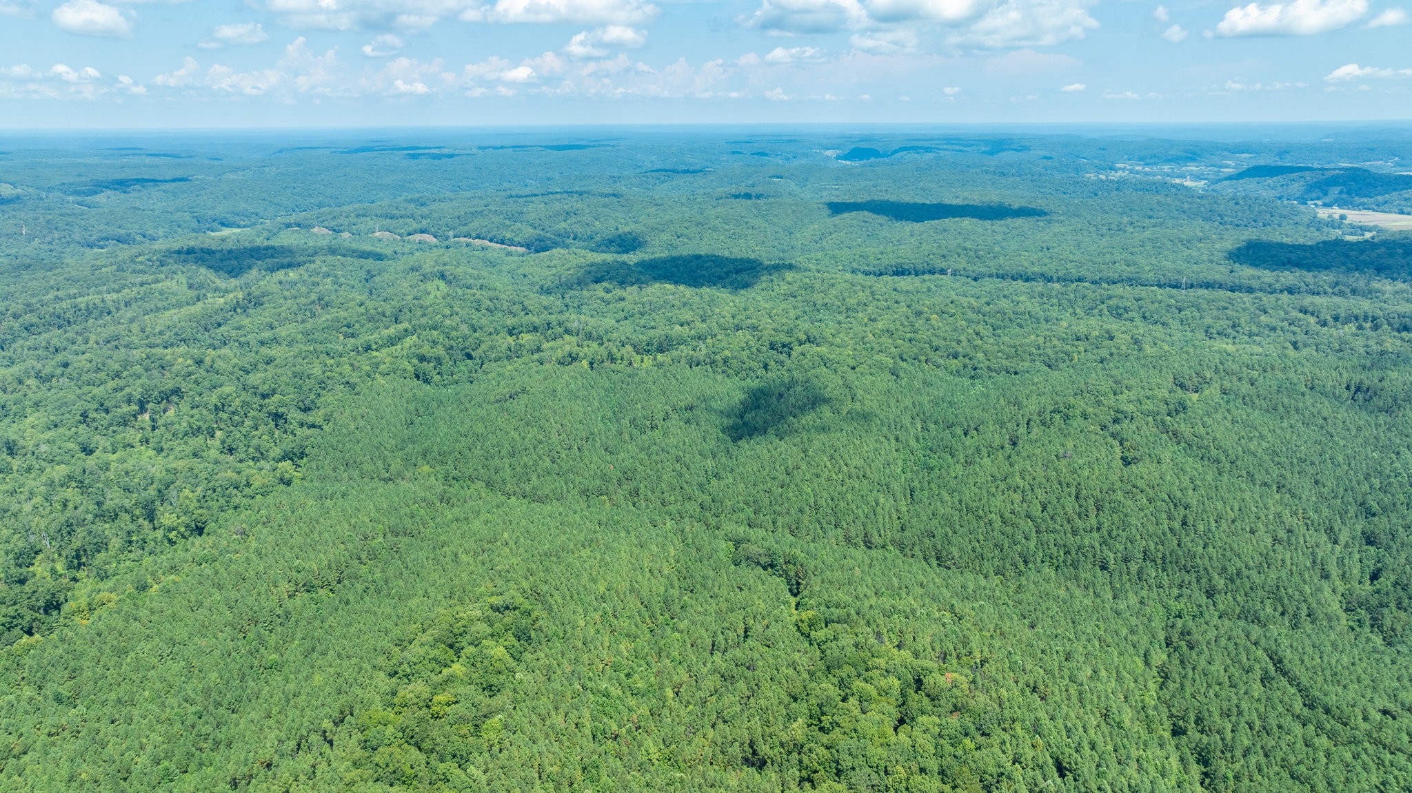 0 Ridgetop Road Hampshire, TN 38461 - Photo 24 of 72