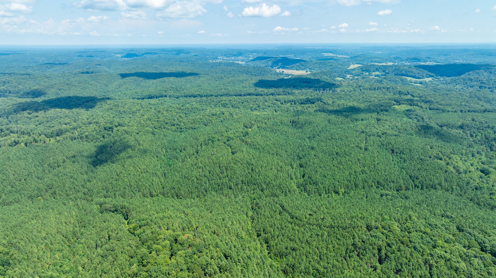 0 Ridgetop Road Hampshire, TN 38461 - Photo 25 of 72 a view of a green field with lots of bushes