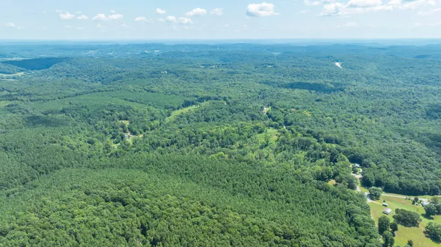 an aerial view of residential houses with outdoor space and trees