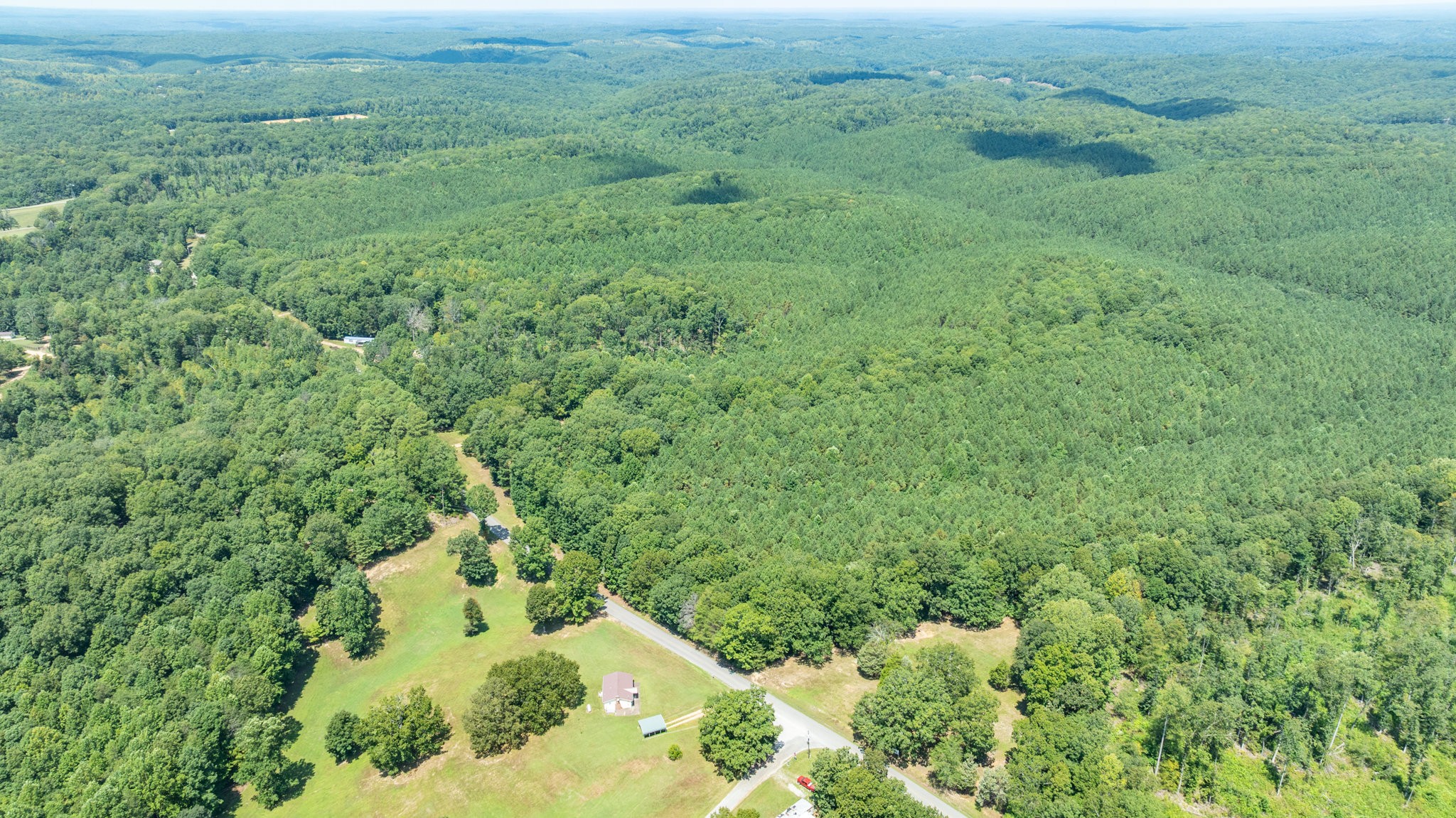 0 Ridgetop Road Hampshire, TN 38461 - Photo 28 of 72 a view of a lush green forest with lots of trees
