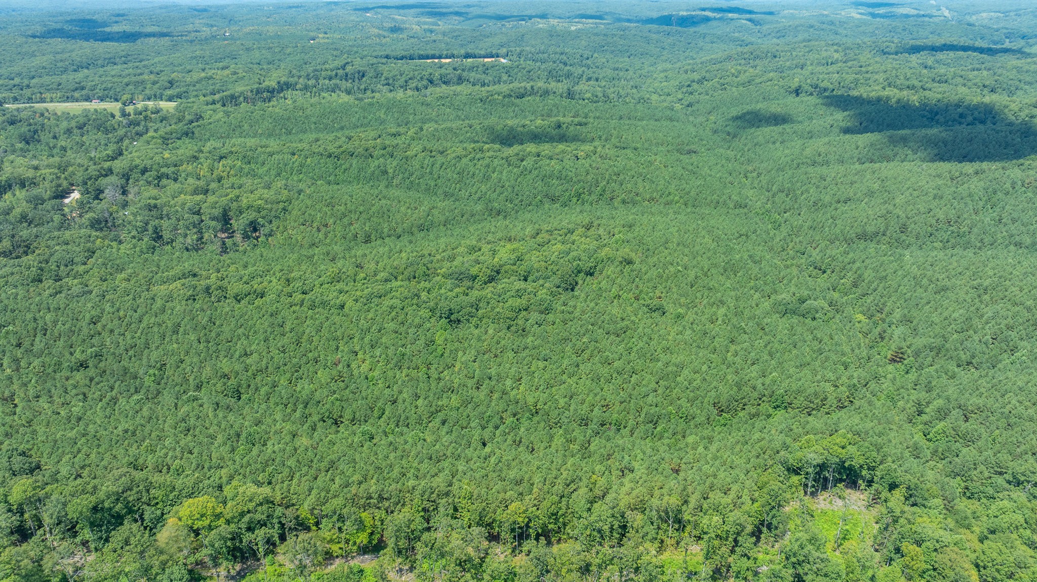 0 Ridgetop Road Hampshire, TN 38461 - Photo 29 of 72 a view of a field of grass and trees
