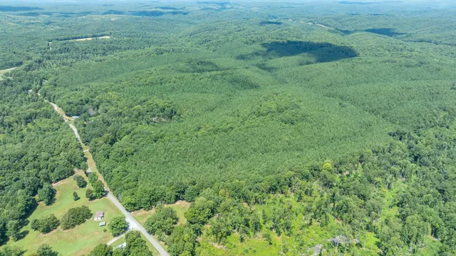 a view of a lush green forest with trees and some houses