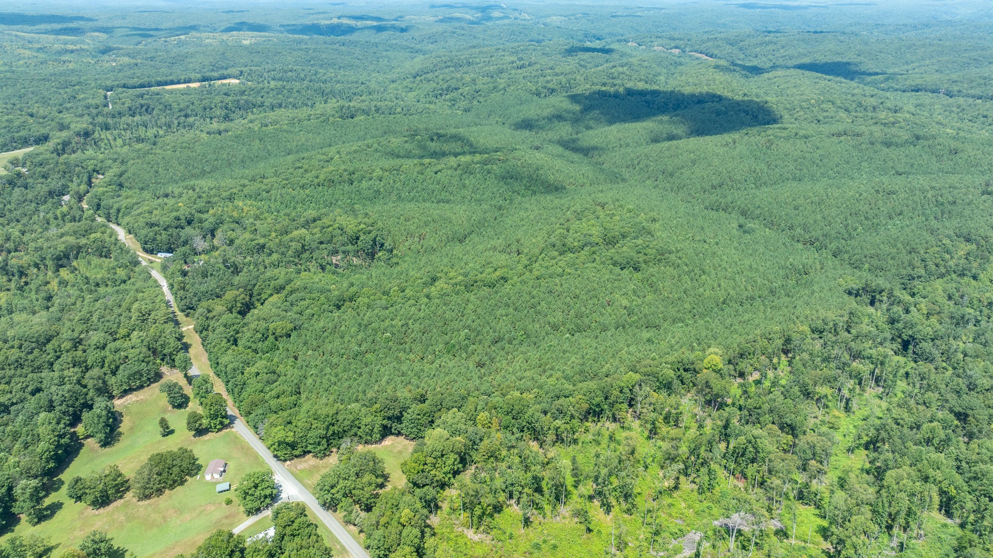 0 Ridgetop Road Hampshire, TN 38461 - Photo 30 of 72 a view of a yard with a plant