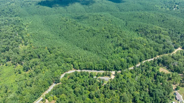 a view of a lush green outdoor space with a lake view