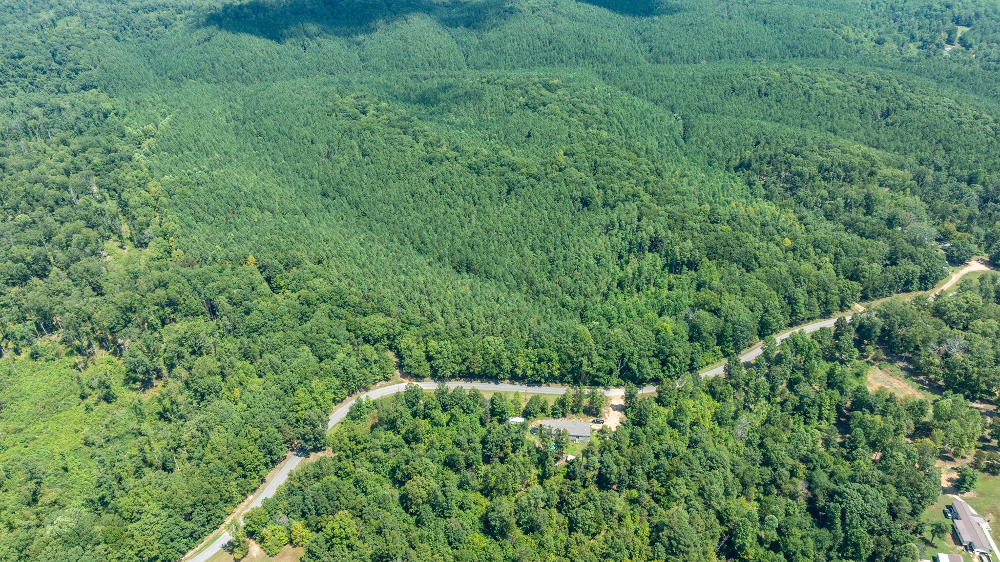 0 Ridgetop Road Hampshire, TN 38461 - Photo 31 of 72 a view of a lush green forest with lots of trees