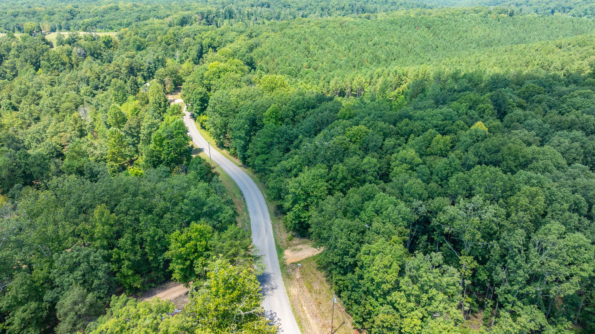 0 Ridgetop Road Hampshire, TN 38461 - Photo 38 of 72 a view of a forest with a plant