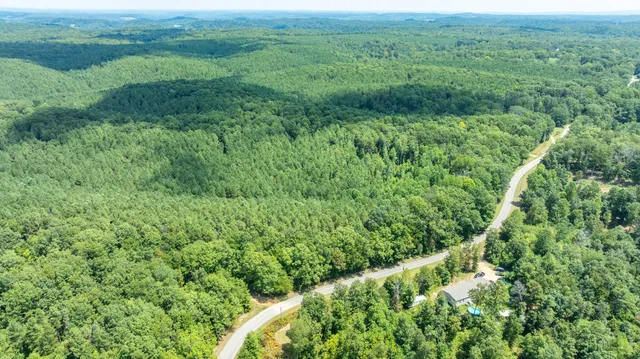 a view of a forest with trees in the background