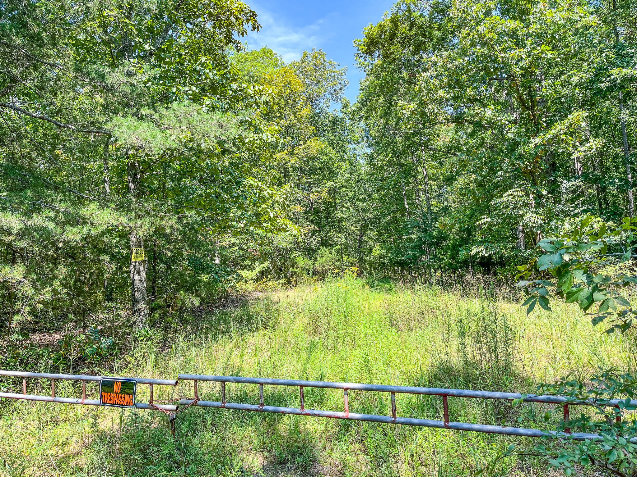 0 Ridgetop Road Hampshire, TN 38461 - Photo 4 of 72