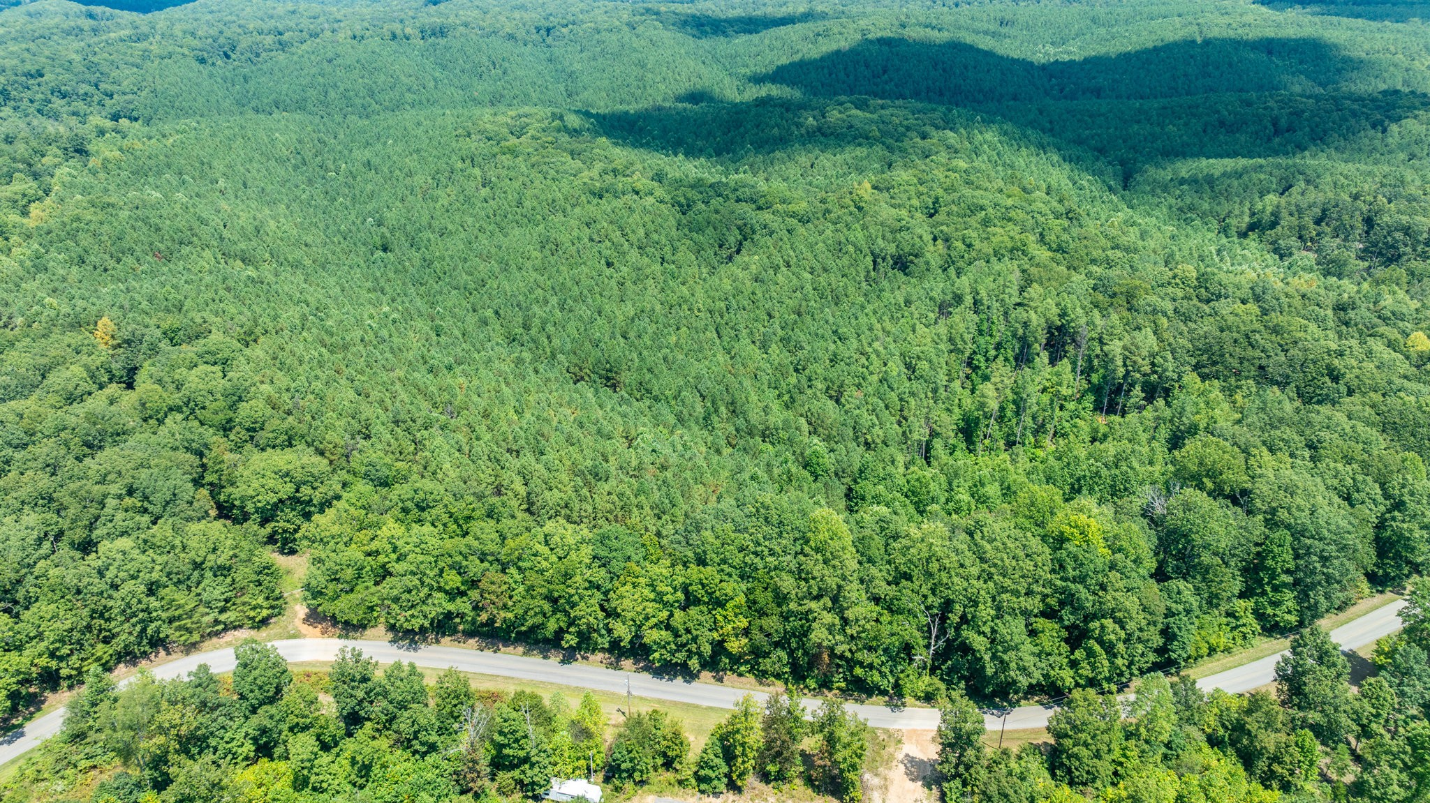 0 Ridgetop Road Hampshire, TN 38461 - Photo 42 of 72 a view of a lush green forest