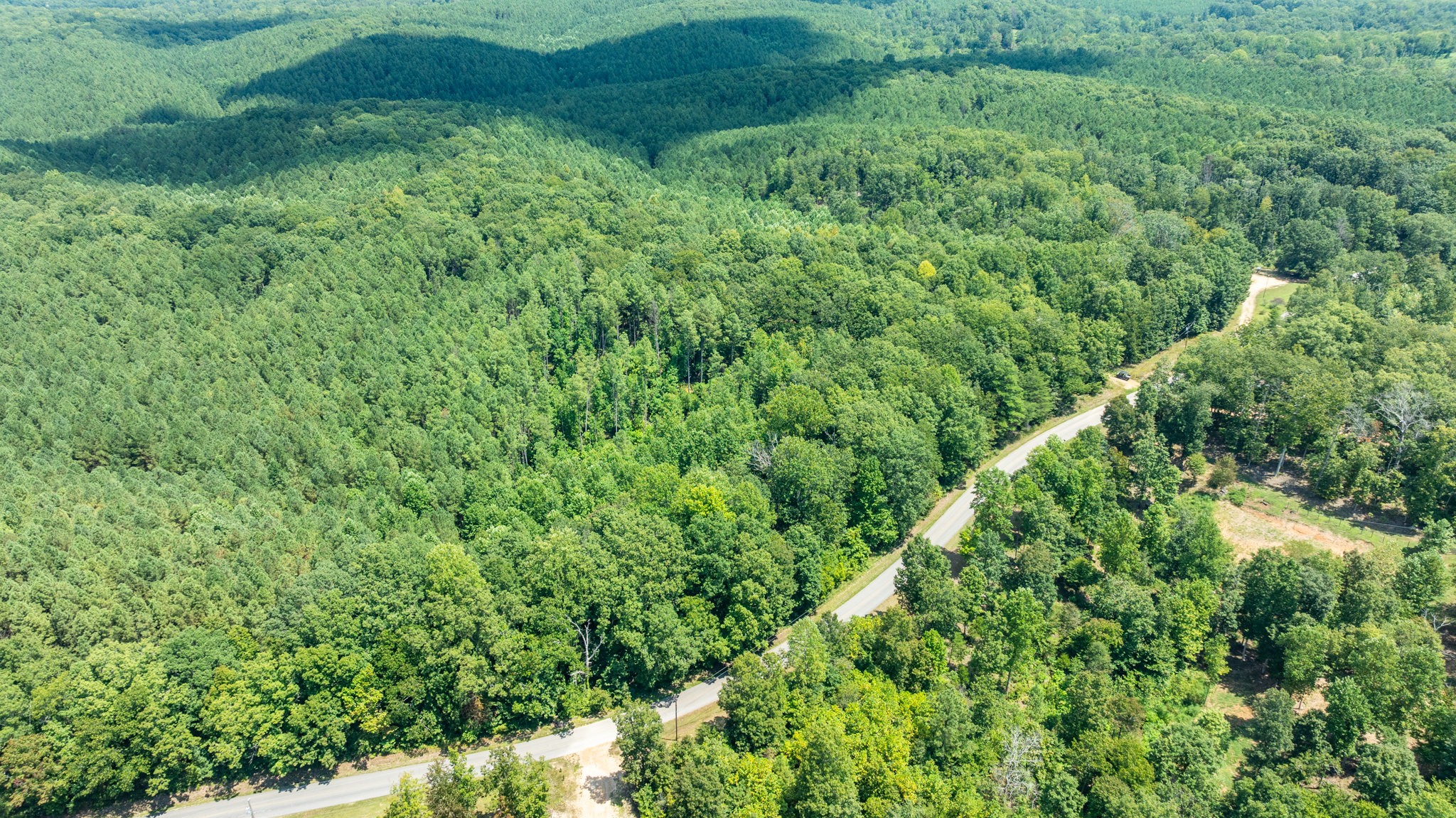 0 Ridgetop Road Hampshire, TN 38461 - Photo 43 of 72 a view of a lush green forest
