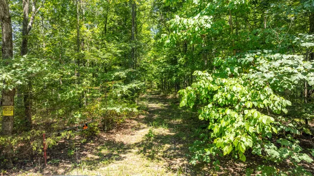 a big yard with lots of green space and deers