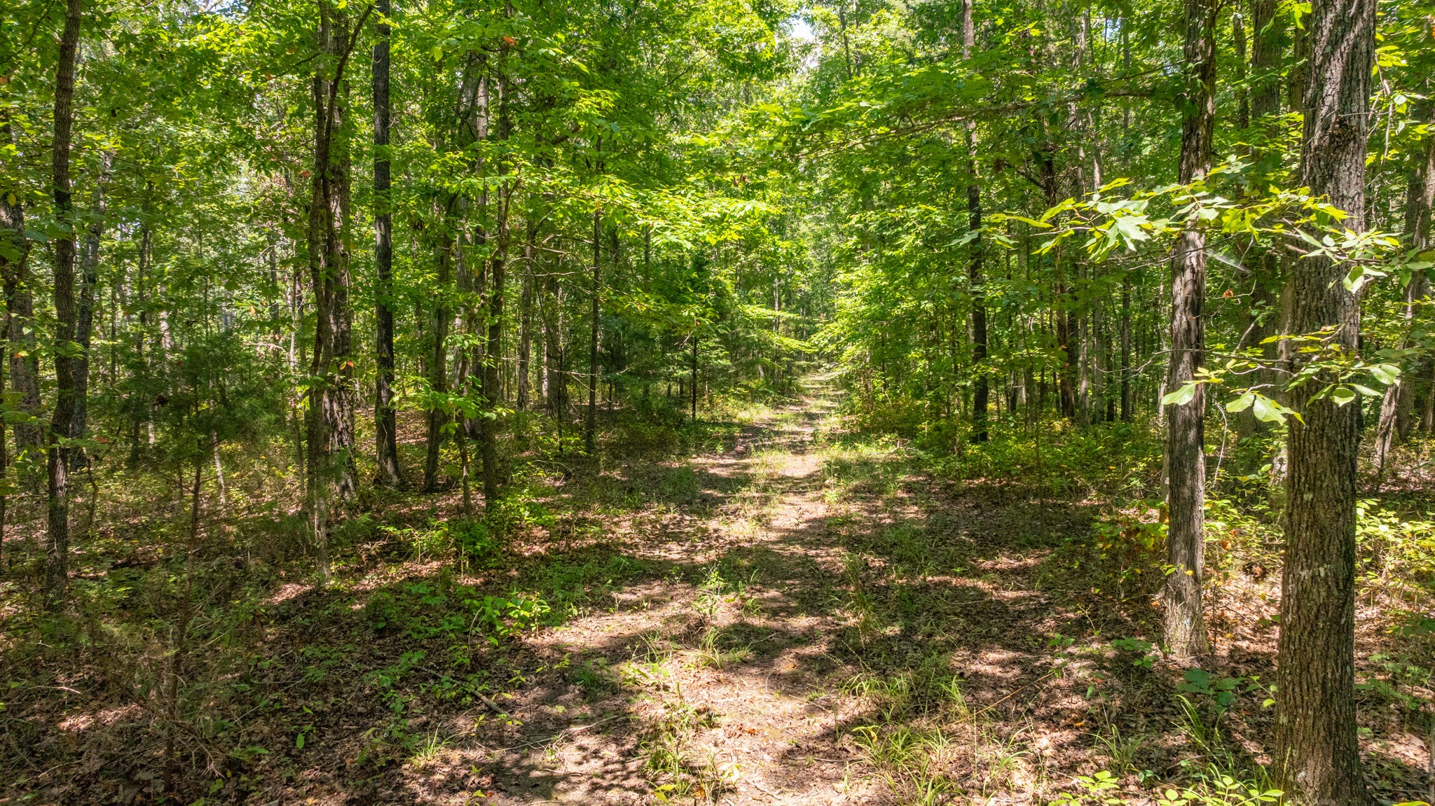 0 Ridgetop Road Hampshire, TN 38461 - Photo 47 of 72