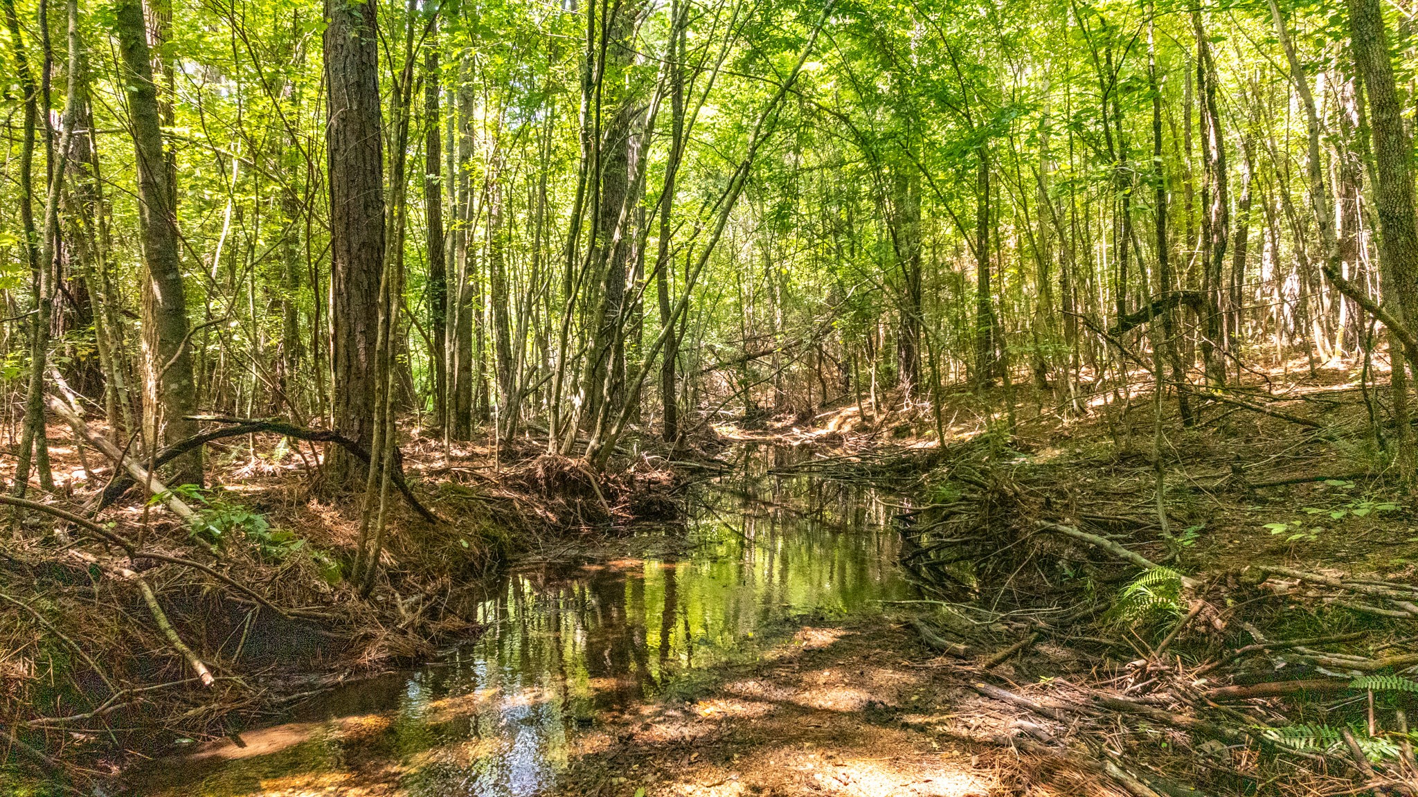 0 Ridgetop Road Hampshire, TN 38461 - Photo 48 of 72