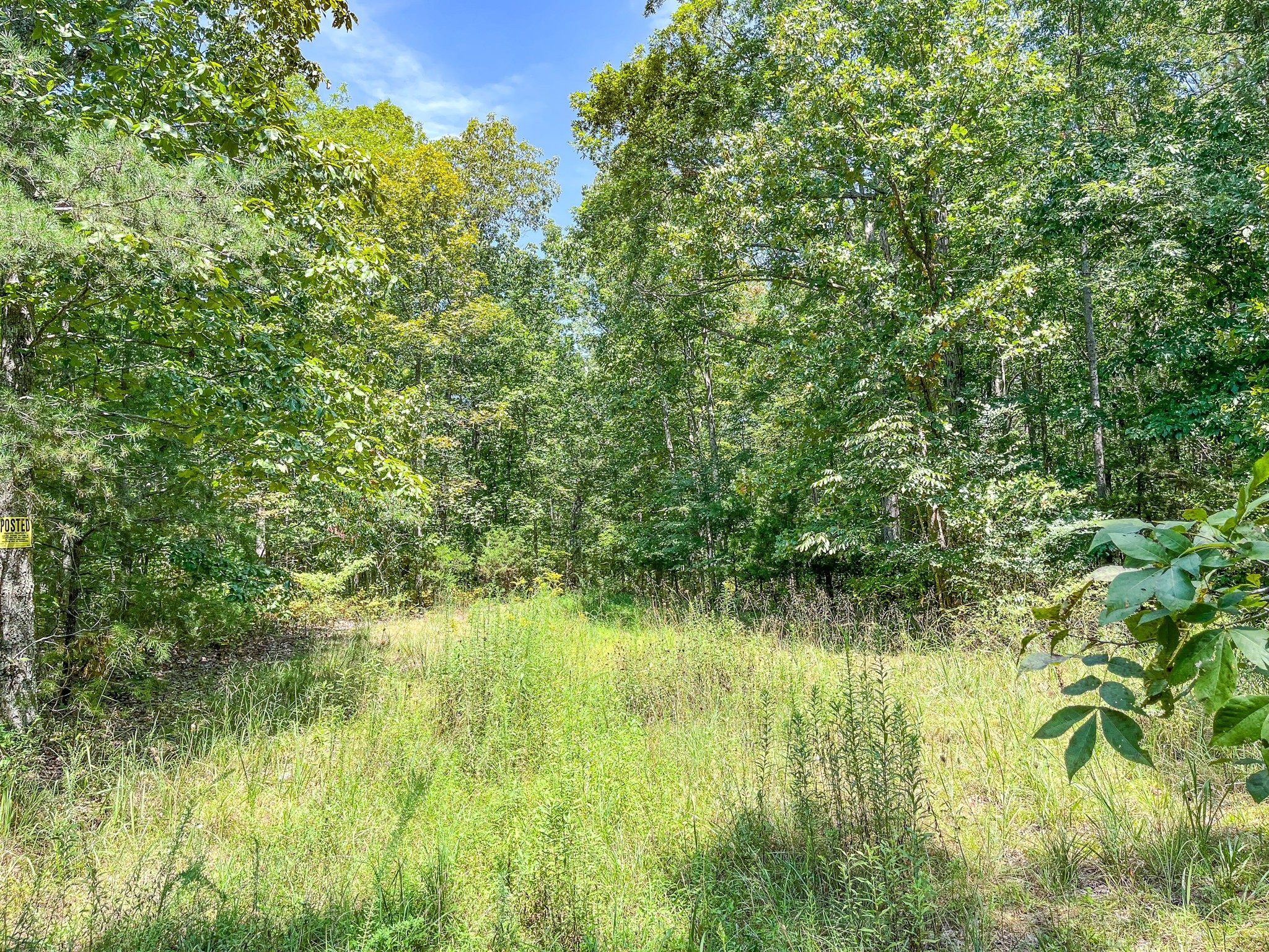 0 Ridgetop Road Hampshire, TN 38461 - Photo 5 of 72 a view of swimming pool from a yard