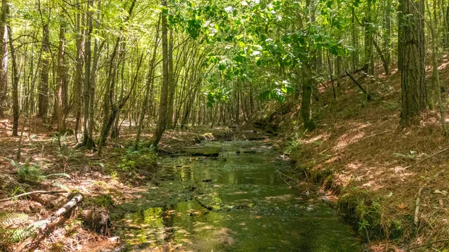 $1,347,381 | 0 Ridgetop Road, Hampshire, TN 38461