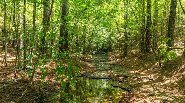 $1,347,381 | 0 Ridgetop Road, Hampshire, TN 38461