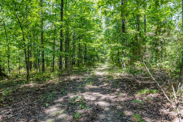 $1,347,381 | 0 Ridgetop Road, Hampshire, TN 38461