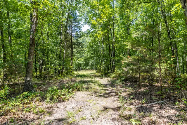 $1,347,381 | 0 Ridgetop Road, Hampshire, TN 38461