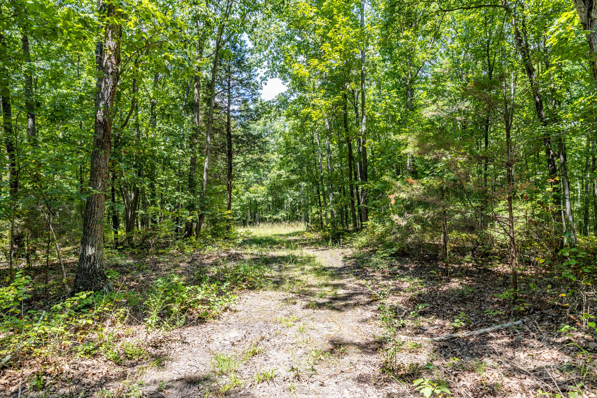 0 Ridgetop Road Hampshire, TN 38461 - Photo 55 of 72 a view of outdoor space and trees