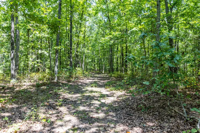$1,347,381 | 0 Ridgetop Road, Hampshire, TN 38461