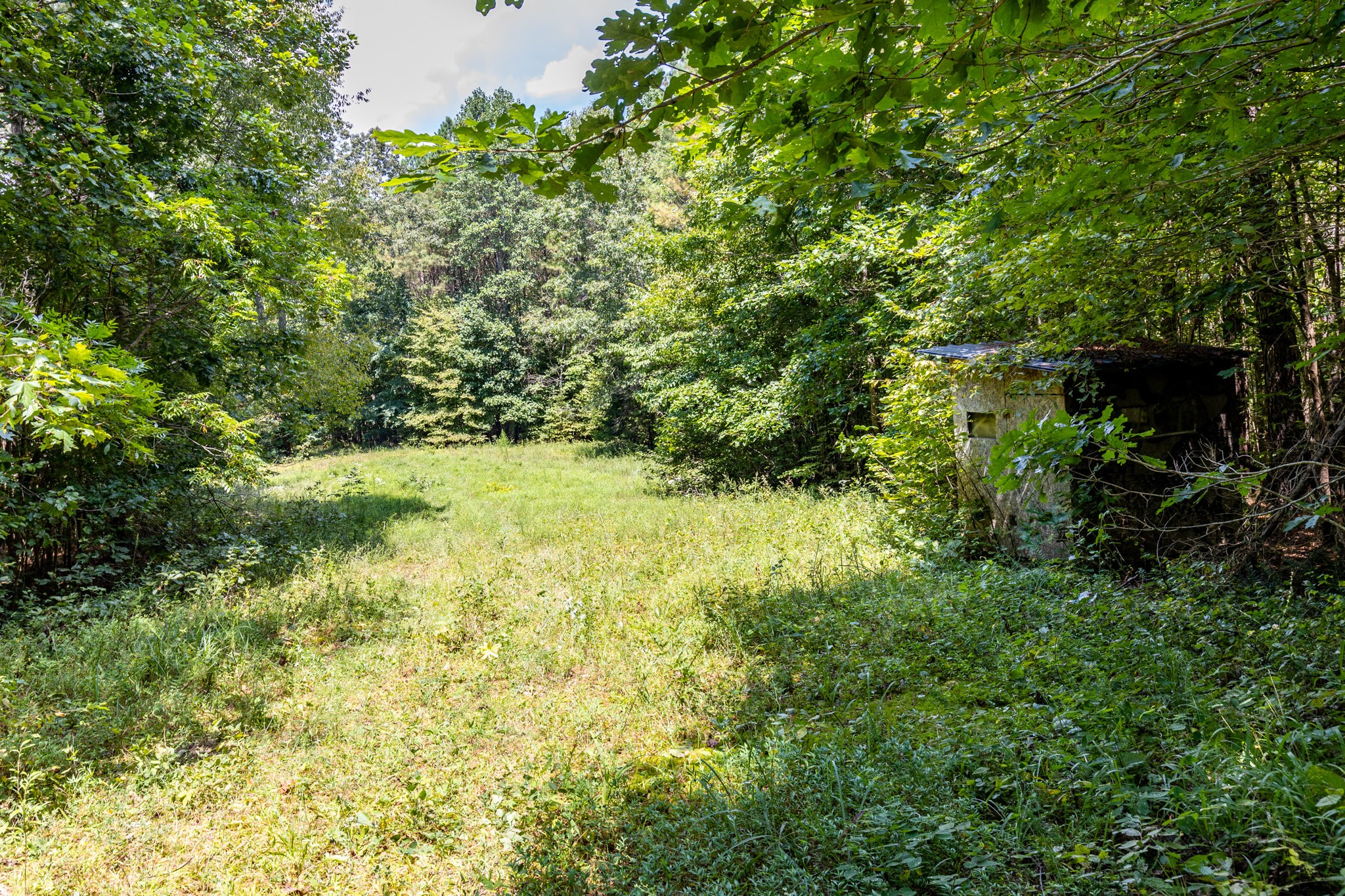 0 Ridgetop Road Hampshire, TN 38461 - Photo 58 of 72