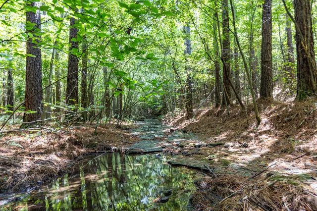$1,347,381 | 0 Ridgetop Road, Hampshire, TN 38461