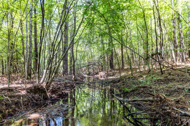 $1,347,381 | 0 Ridgetop Road, Hampshire, TN 38461