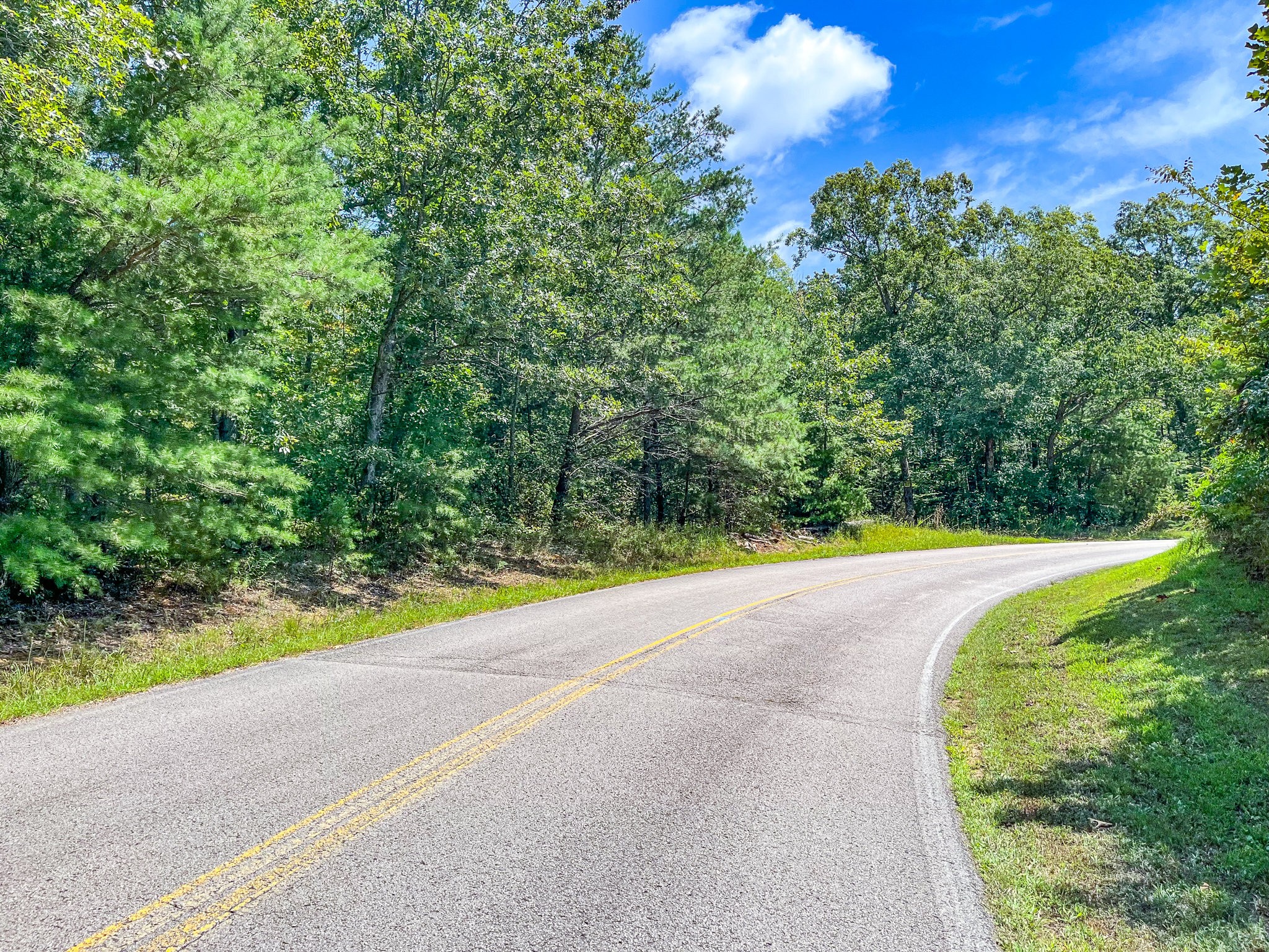 0 Ridgetop Road Hampshire, TN 38461 - Photo 6 of 72 a view of a yard with swimming pool