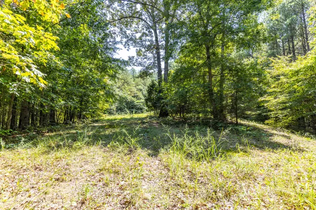 $1,347,381 | 0 Ridgetop Road, Hampshire, TN 38461