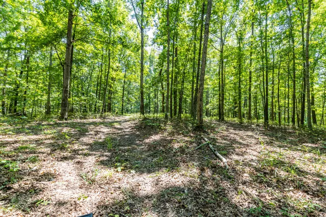 $1,347,381 | 0 Ridgetop Road, Hampshire, TN 38461