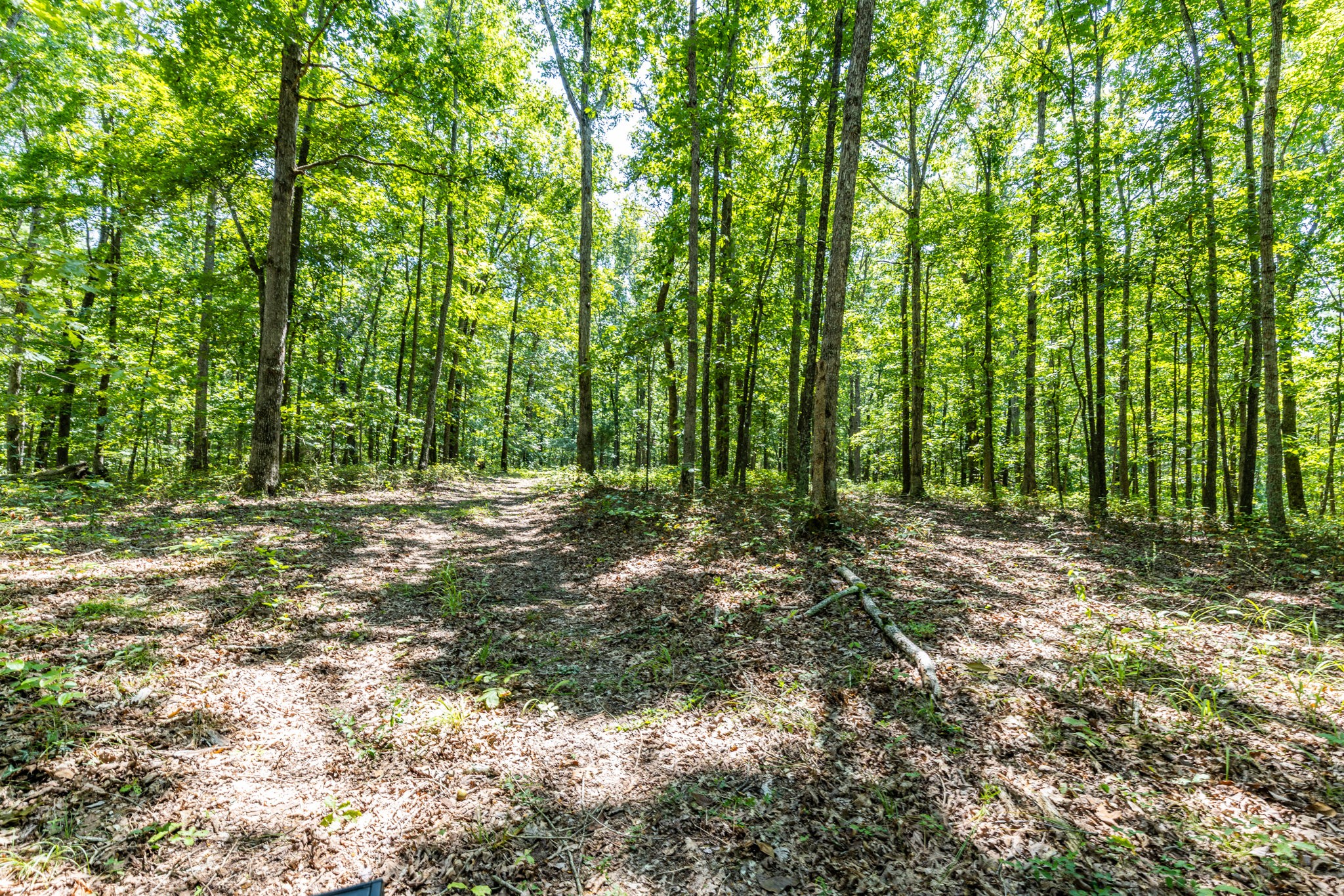 0 Ridgetop Road Hampshire, TN 38461 - Photo 63 of 72 a view of outdoor space and trees