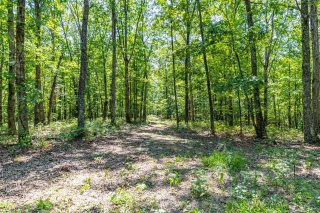 $1,347,381 | 0 Ridgetop Road, Hampshire, TN 38461