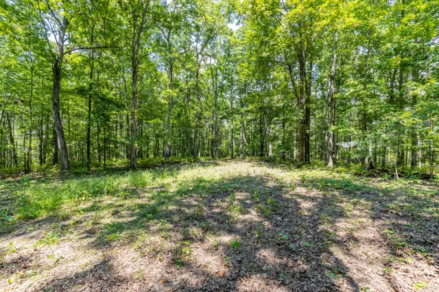$1,347,381 | 0 Ridgetop Road, Hampshire, TN 38461