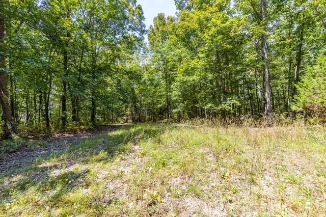 $1,347,381 | 0 Ridgetop Road, Hampshire, TN 38461