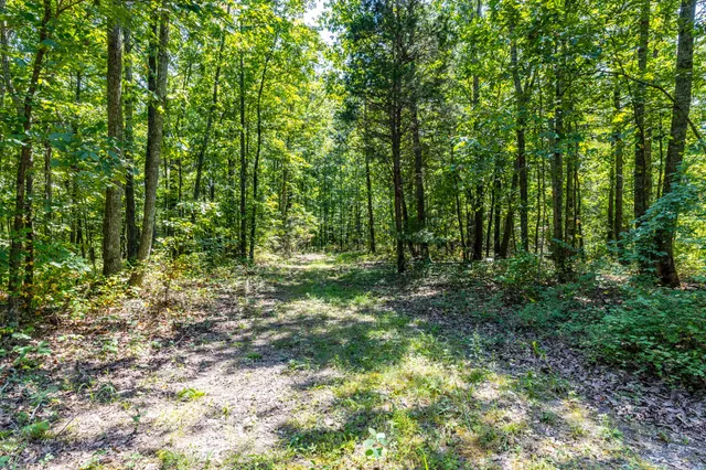 $1,347,381 | 0 Ridgetop Road, Hampshire, TN 38461