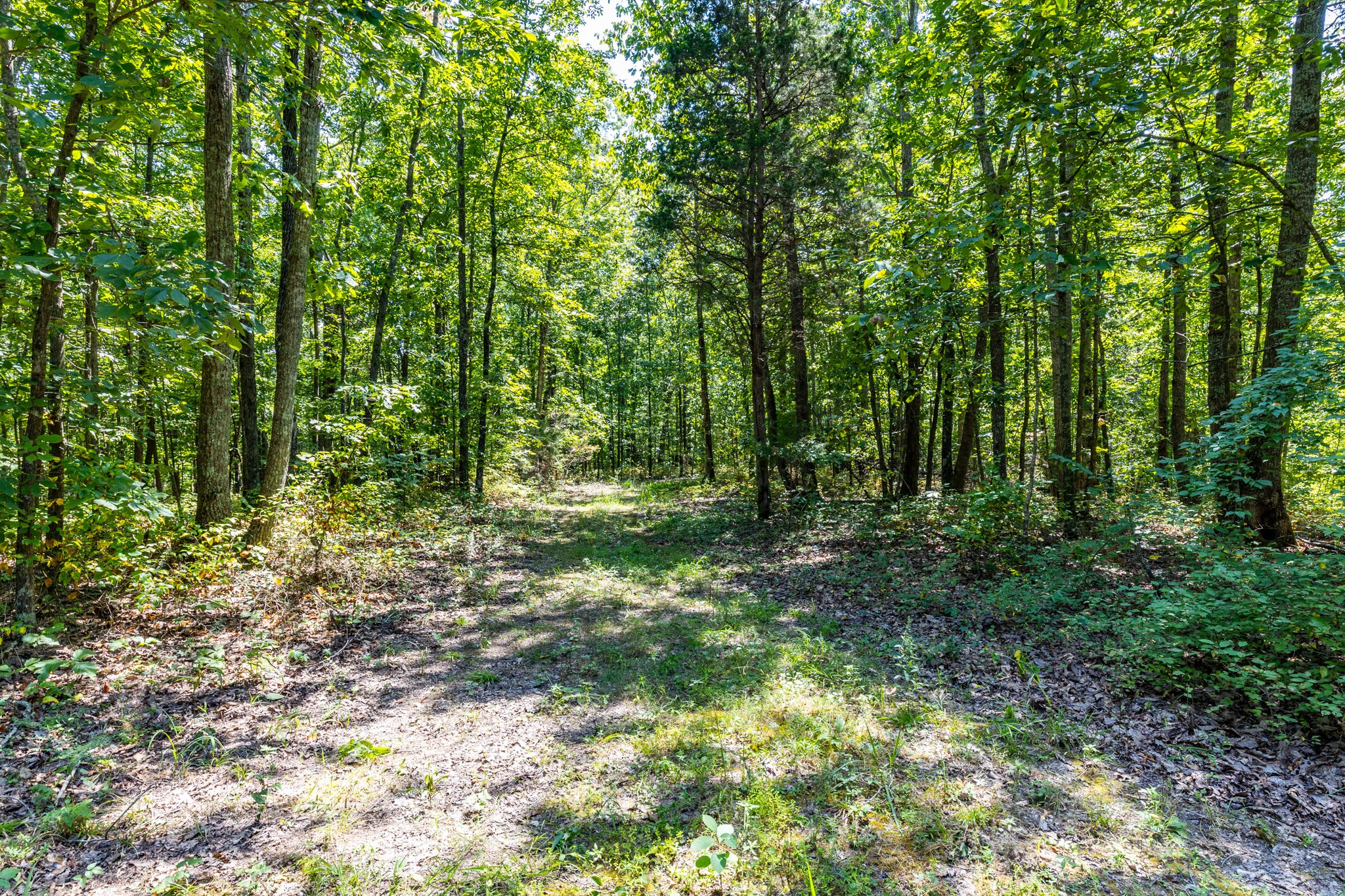 0 Ridgetop Road Hampshire, TN 38461 - Photo 70 of 72 a view of outdoor space and green space