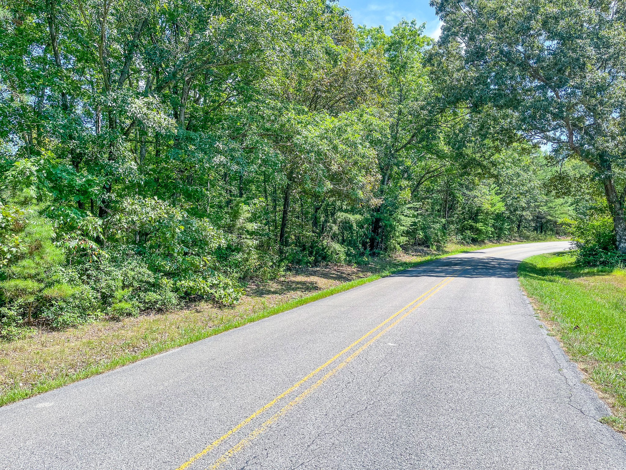 0 Ridgetop Road Hampshire, TN 38461 - Photo 7 of 72