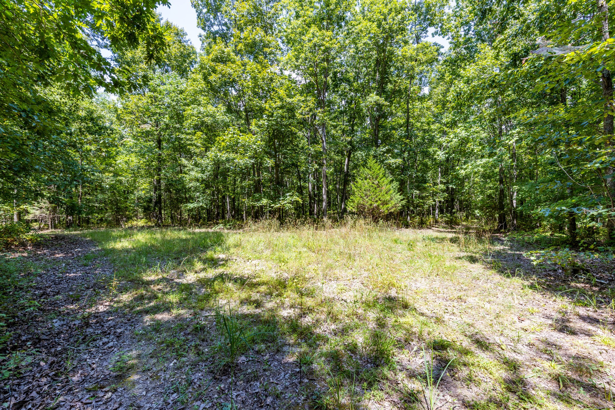 0 Ridgetop Road Hampshire, TN 38461 - Photo 71 of 72 a view of yard with green space