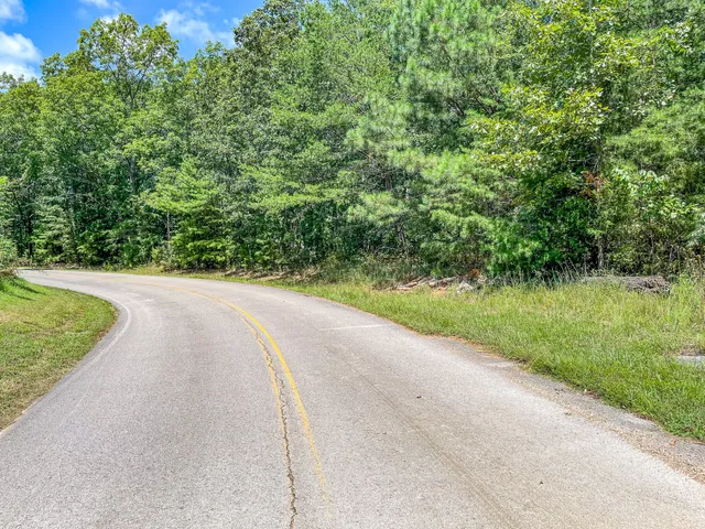 a view of a forest with a street