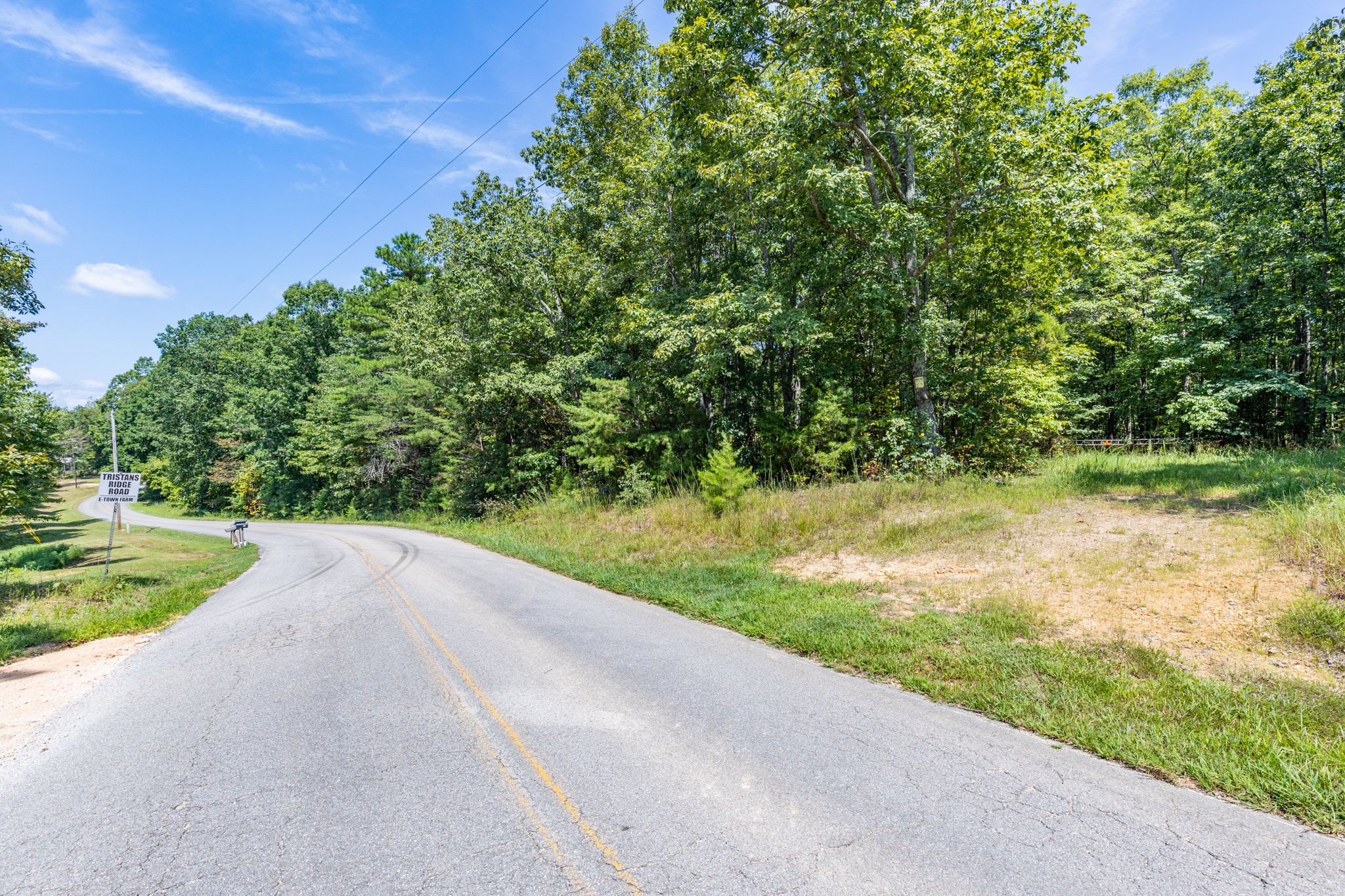 0 Ridgetop Road Hampshire, TN 38461 - Photo 10 of 72 a view of a yard with a tree