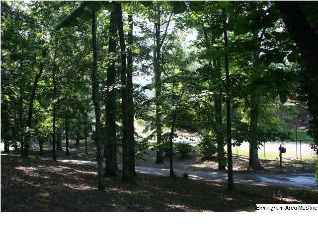777 Carl Raines Lake Road Birmingham, AL 35244 - Photo 18 of 32