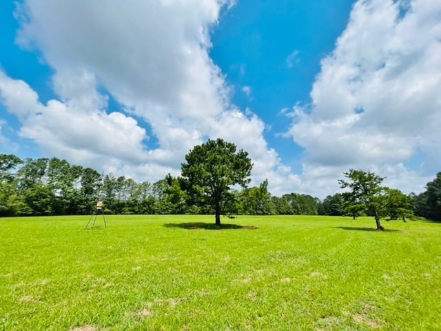 5090 Magnolia Progress Road Magnolia, MS 39652 - Photo 23 of 34 Photo 24