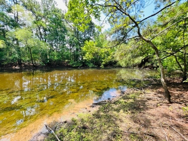 5090 Magnolia Progress Road Magnolia, MS 39652 - Photo 29 of 34 Photo 30