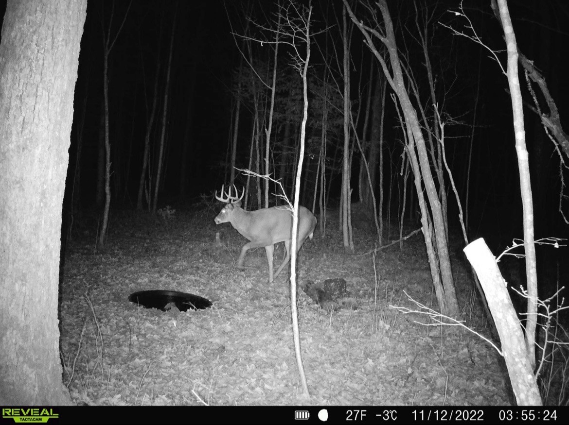 Lot 2 Delap Lane Couderay, WI 54828 - Photo 13 of 14