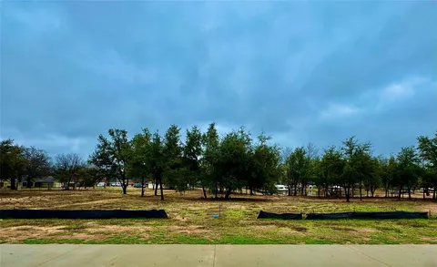 a view of a yard with large trees