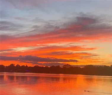 a view of lake with city