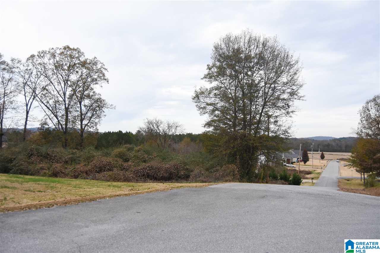 83 Spring Brook Drive Alexandria, AL 36250 - Photo 3 of 41
