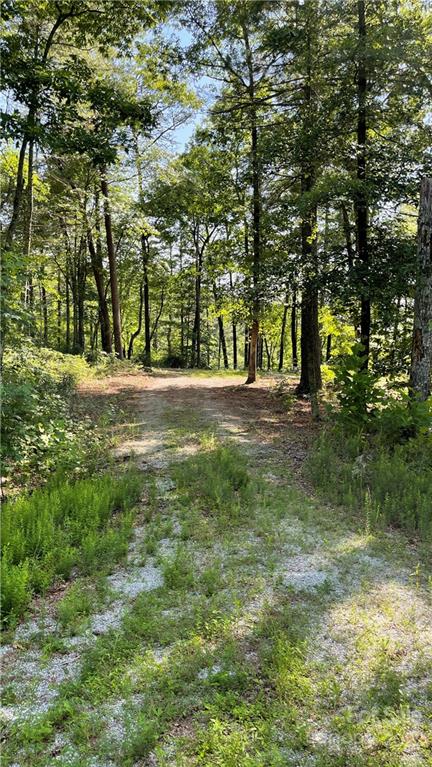 Lot 6 Fox Ridge Trail, Unit 6 Marion, NC 28752 - Photo 11 of 20 a backyard of a house with lots of green space