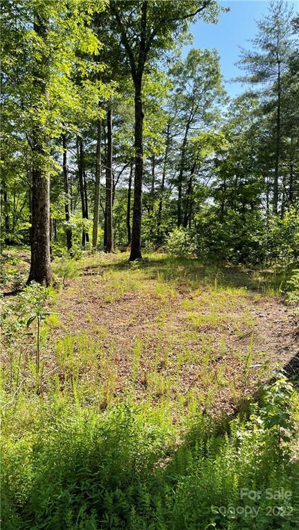 Lot 6 Fox Ridge Trail, Unit 6 Marion, NC 28752 - Photo 13 of 20 a view of a yard with plants and trees